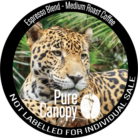 Espresso Roast Coffee - 2.5 oz Sample