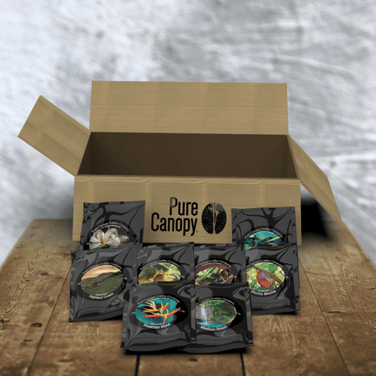 Build-A-Box of Samples